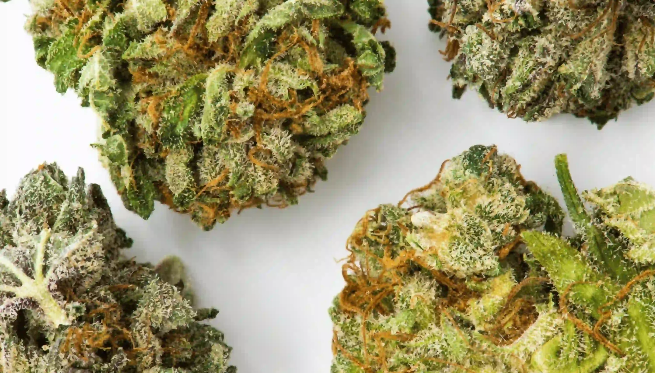 What is a cannabis flower?